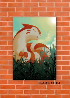 Furret 6 en internet
