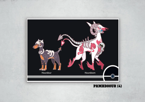 Houndour, Houndoom 4