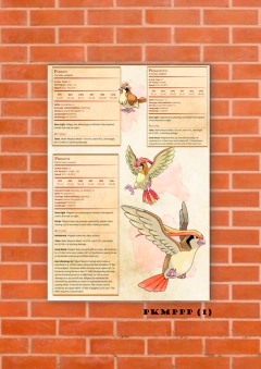 Pidgey, Pidgeotto, Pidgeot 1 en internet