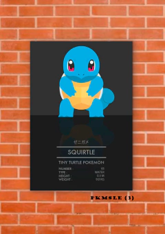 Squirtle 3 en internet