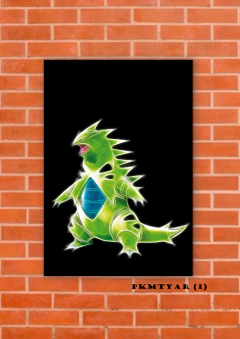 Tyranitar 1 en internet