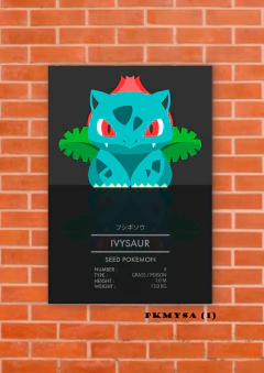 Ivysaur 1 en internet
