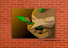 Nuzleaf 1 en internet