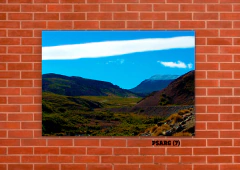 Argentina 7 en internet