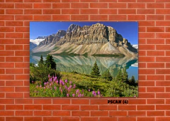 Canadá 4 en internet