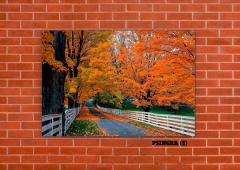 Inglaterra 5 en internet