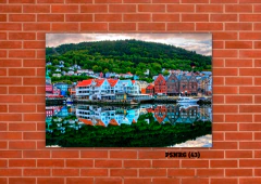 Noruega 43 en internet