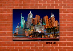 Estados Unidos 48 en internet