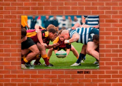 Rugby Varios 26 en internet