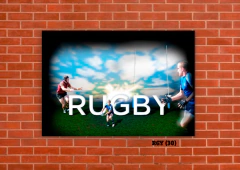 Rugby Varios 30 en internet