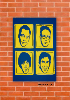 Big Bang Theory 1 en internet