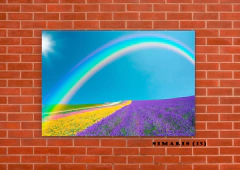 Arco iris 15 en internet