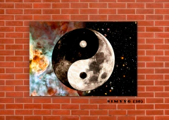 Yin Yang 20 - MetaXroma