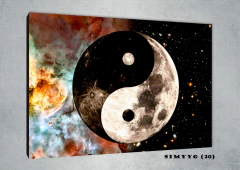 Yin Yang 20 en internet