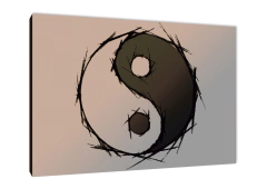 Yin Yang 31
