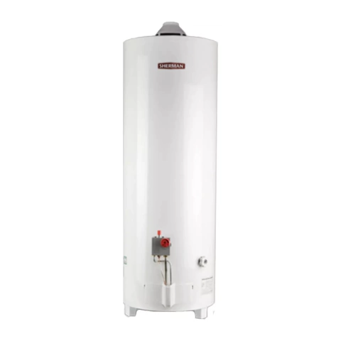 TERMOTANQUE 120 LTS GAS PIE TPGP120MSH13 - comprar online
