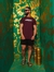 CAMISETA ALL BLACK RELEVO CMD BORDO - Trizone Outlet 