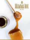 Miel Sólida 500 grs. | Mamma Bee