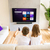 SMART LED ROKU TV AOC 43" FHD - comprar online