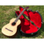 GUITARRA GRACIA MODELO M5 FSII