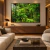 Quadro Decorativo Paisagem e Natureza Floresta-Austrália