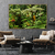 Quadro Decorativo Paisagem e Natureza Floresta Austrália II