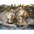 Quadro Decorativo Animais Leoa e Filhote II - comprar online