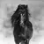 Quadro Decorativo Animais Cavalo PB V - comprar online