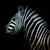 Quadro Decorativo Animais Zebra III - comprar online