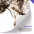 Kit 2 Quadros Decorativos Mulheres Mulher XXXIV e XXXV - comprar online