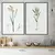 Kit 2 Quadros Decorativos Lançamentos Botânica Clássica I e II
