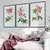 Kit 3 Quadros Decorativos Lançamentos Rosa Centifólia I, II, III