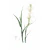 Kit 2 Quadros Decorativos Florais e Folhagens Floral Botânico Branco I e II - Arte Própria | Maior Fábrica de Quadros da América Latina