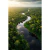 Quadro Decorativo Lançamentos Paisagem Amazônica - comprar online