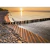Quadro Decorativo Lançamentos Praia Entardecer - comprar online