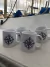 Taza Diseño Náutico rosa de los vientos y ancla - comprar online