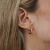 AROS DELI ROSE (2944) en internet
