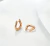 AROS DELI ROSE (2944) - comprar online