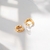 AROS DELPHI NATURE (2538) - MER BLANCHE