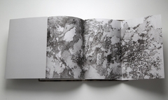 Mental Landscape - Mariana Sissia en internet