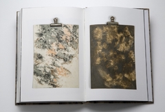 Mental Landscape - Mariana Sissia - comprar online