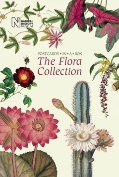 The Flora Collection - Postcards