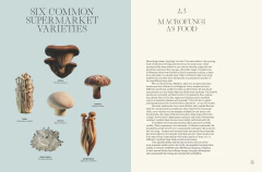 The Future Is Fungi en internet