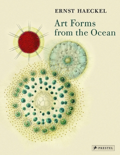 Art Forms from the Ocean - The Radiolarian Prints of Ernst Haeckel - comprar online