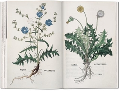 Leonhart Fuchs. The New Herbal of 1543