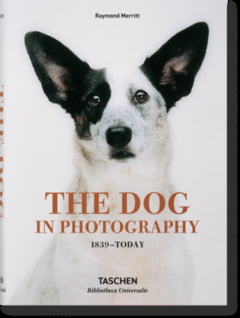 The dog in photography