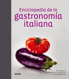 Enciclopedia de la gastronomia italiana