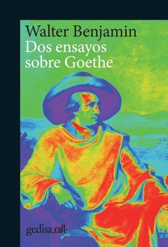 Dos ensayos sobre Goethe - Walter Benjamin