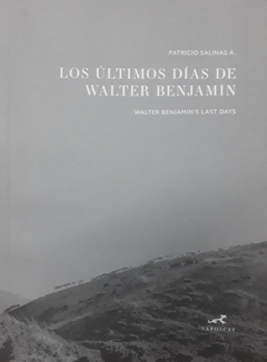 Los ultimos dias de Walter Benjamin