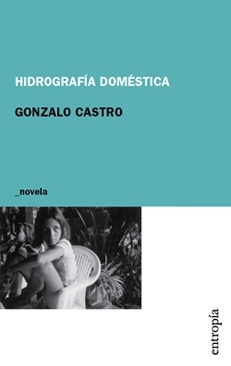 Hidrografía doméstica - Gonzalo Castro - comprar online